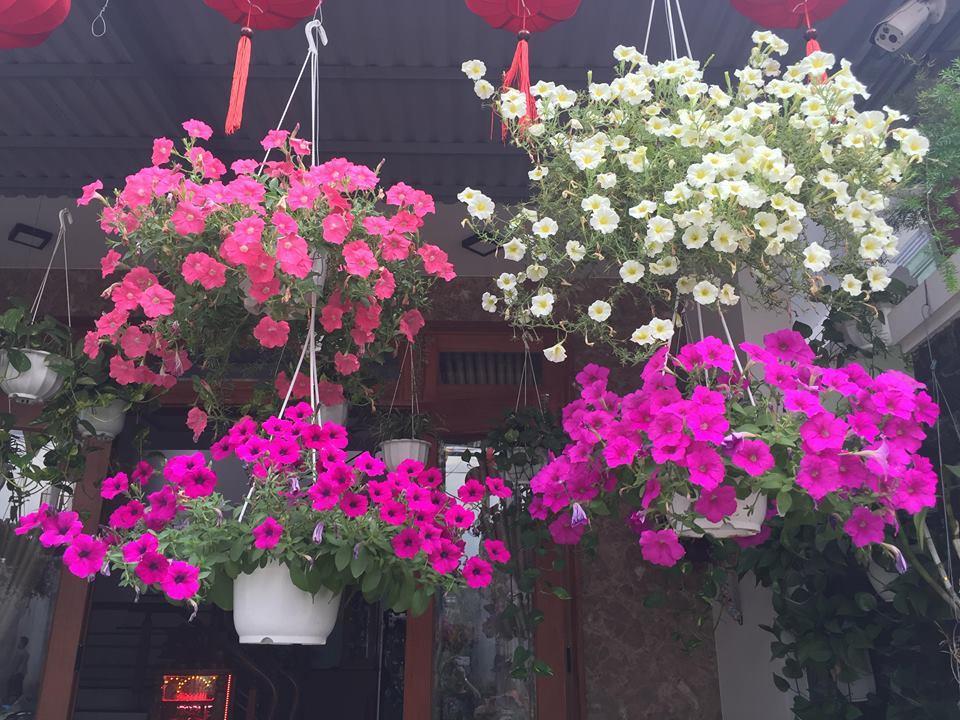 Lantern Riverside Hoi An Exterior foto